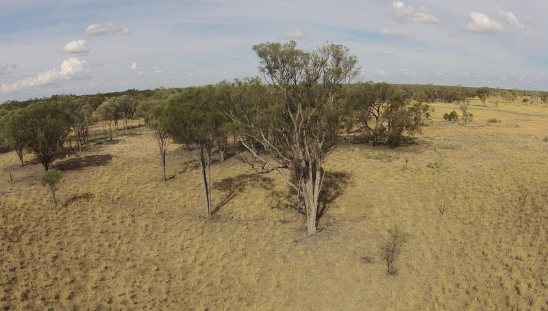 Gidgee photo 6
