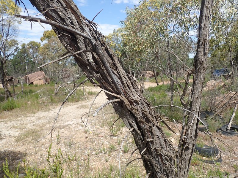 Spearwood photo 2