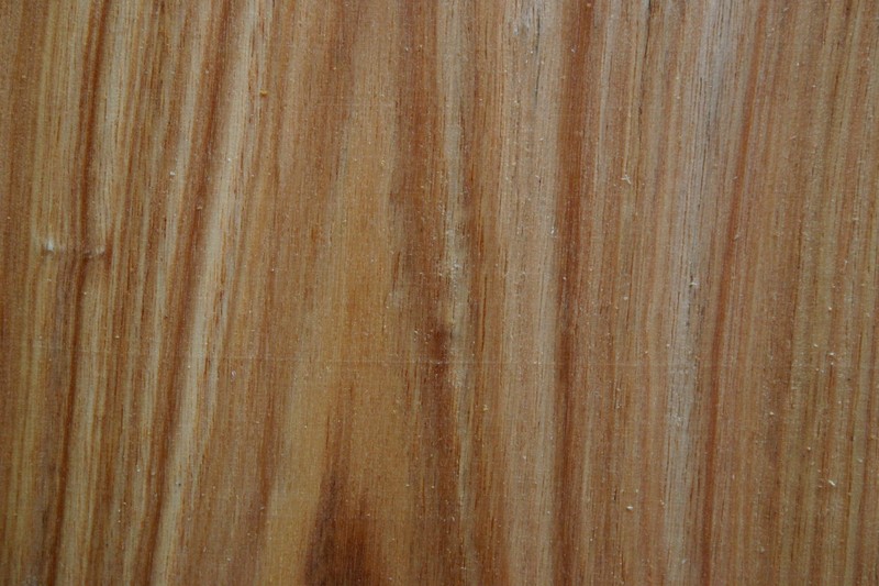 Cedar Wattle photo 5