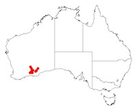 Acacia inamabilis