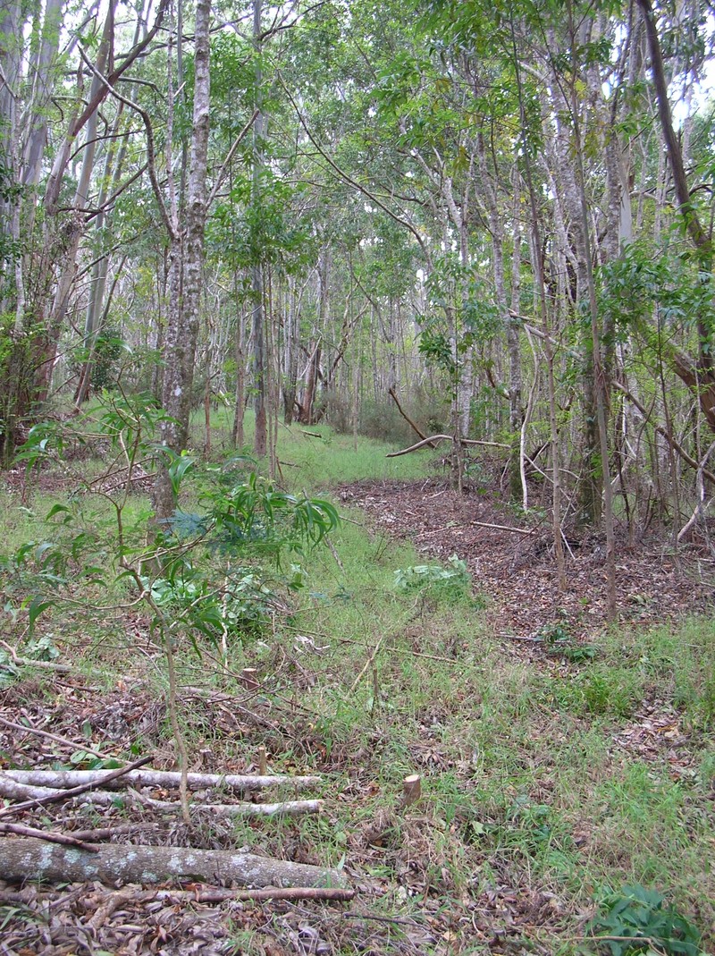 Koaoha photo 6