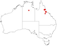 Acacia longipedunculata