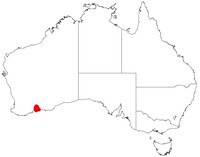 Acacia ophiolithica