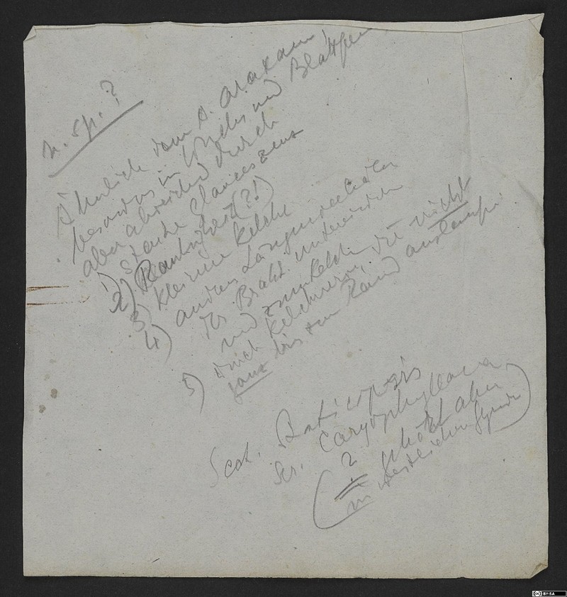 Acantholimon sorchense