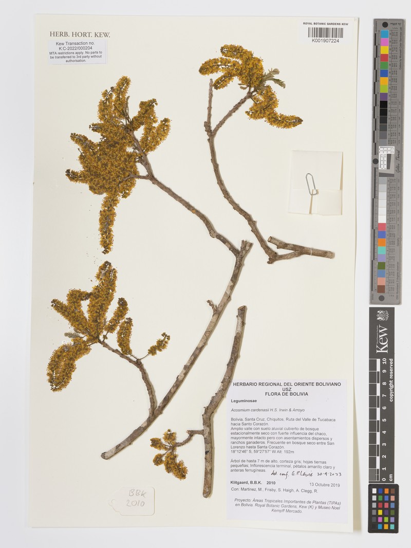 Acosmium cardenasii