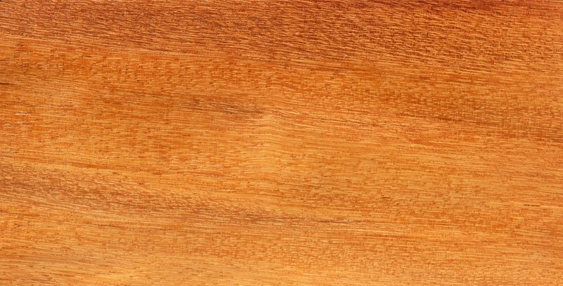 African Mahogany photo 4