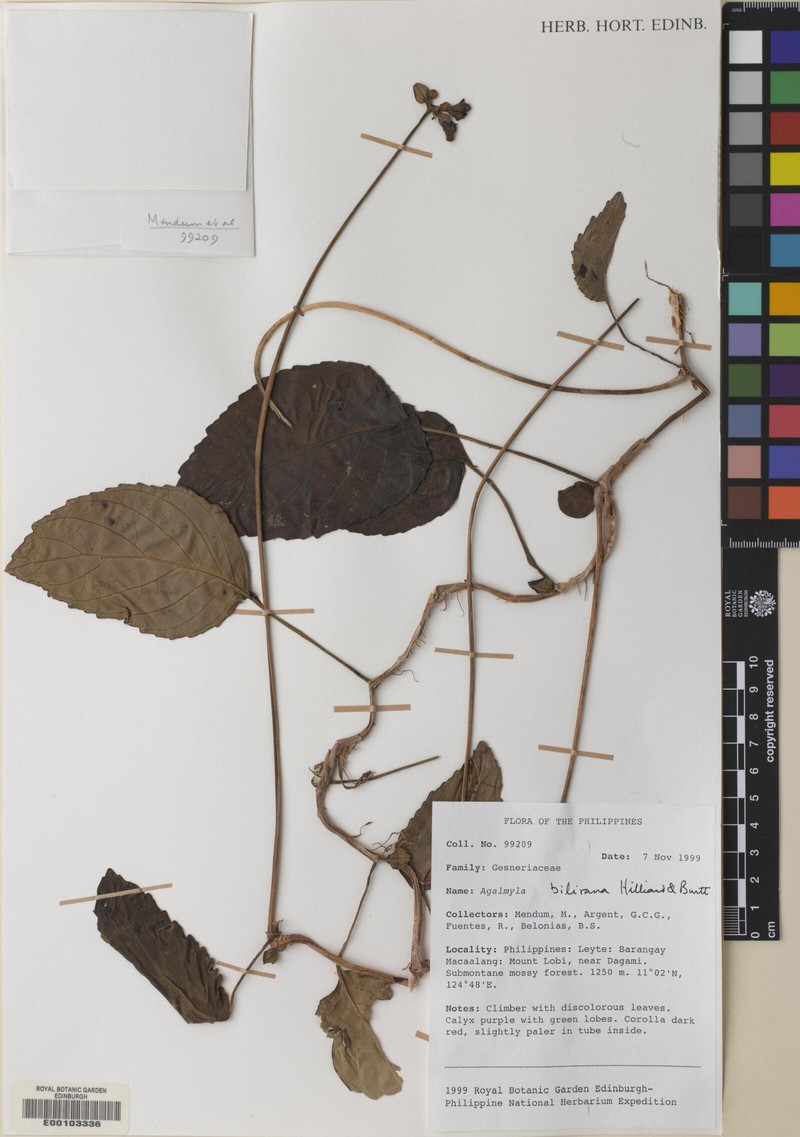 Agalmyla bilirana