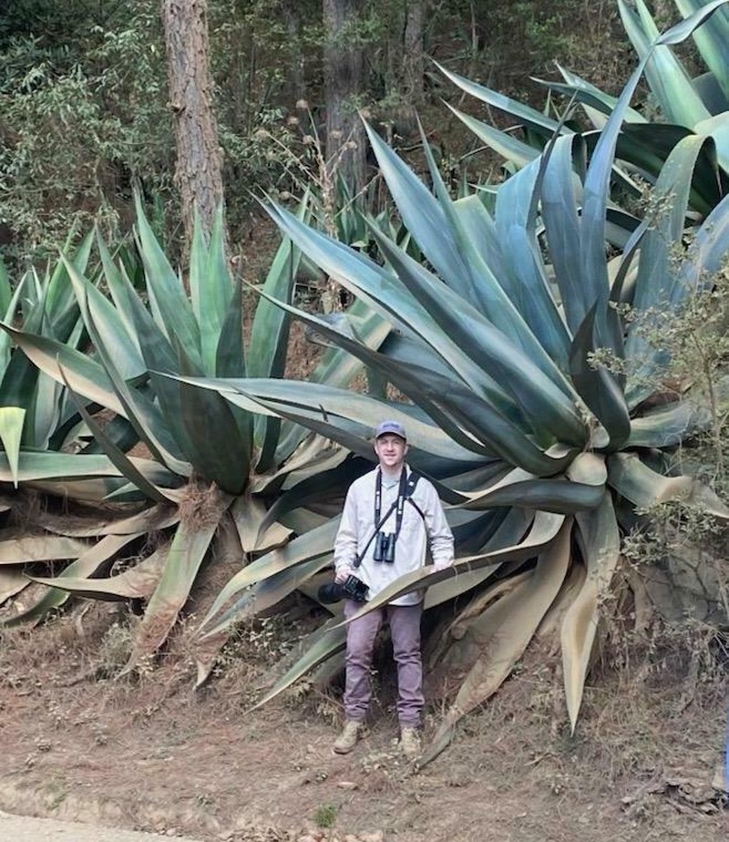Maguey photo 2