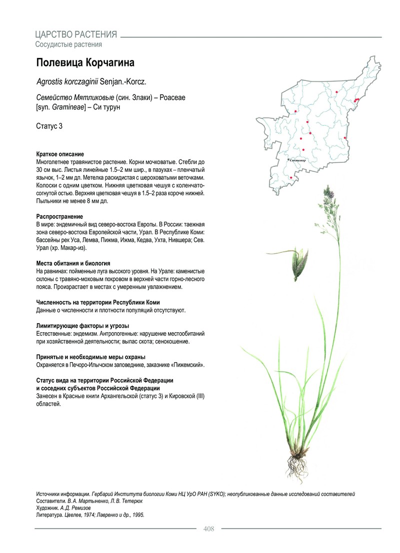 Agrostis korczaginii