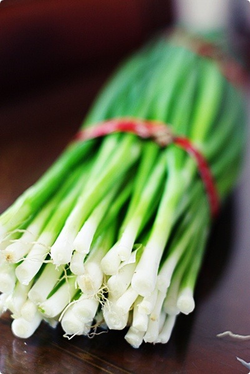 Welsh Onion photo 3