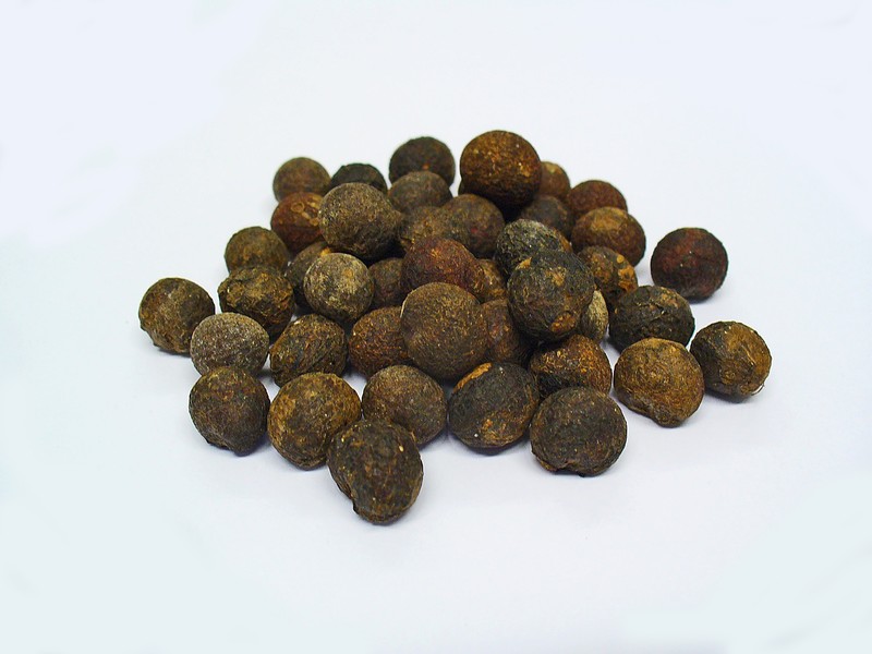 Anamirta cocculus photo 3