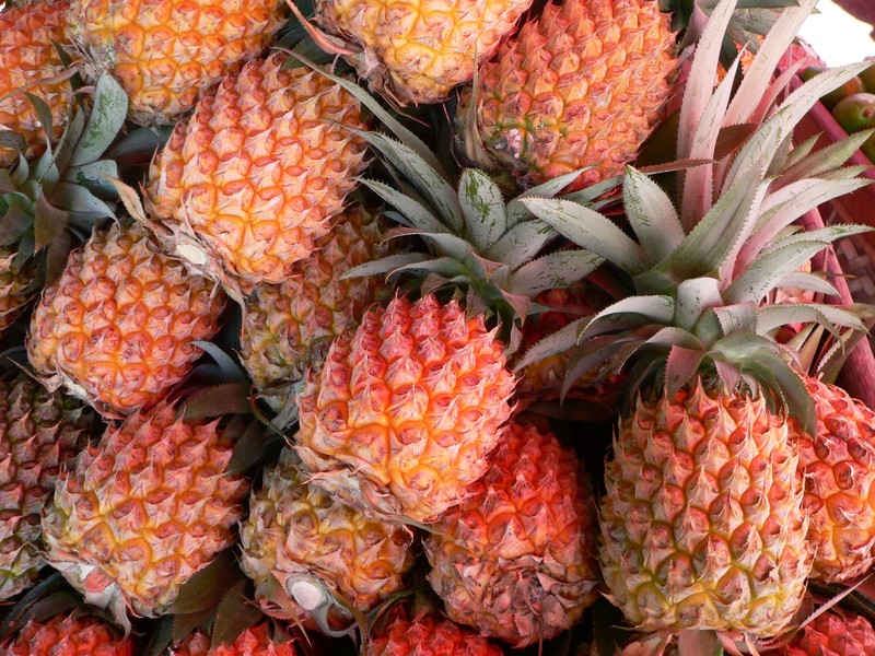 Pineapple photo 2