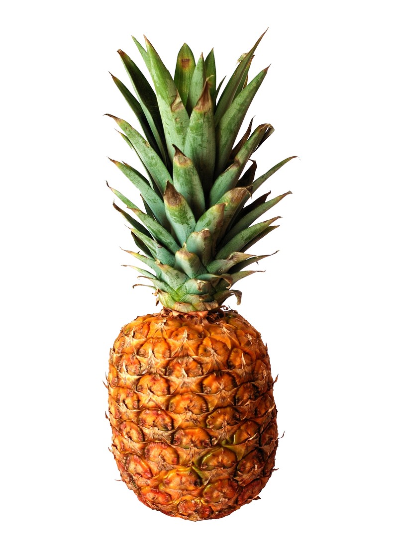 Ananas macrodontes photo 2