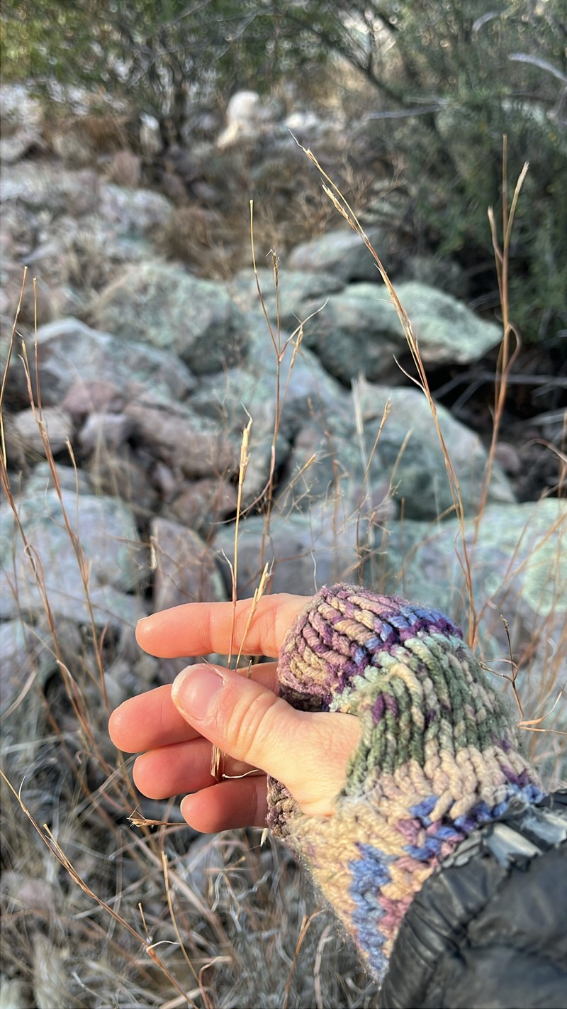 Texas Bluestem