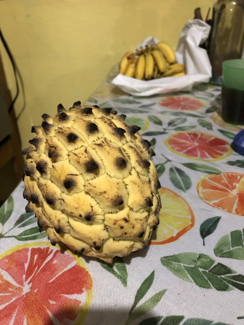 Wild Sugar Apple photo 8