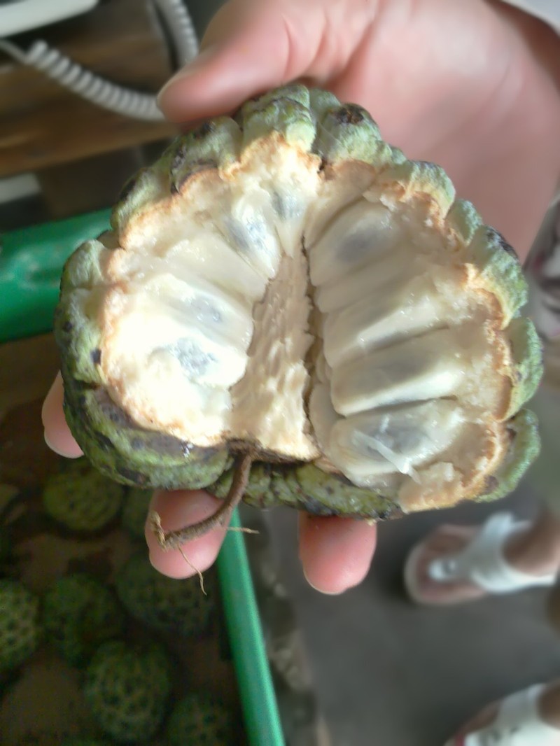 Sugar Apple photo 6