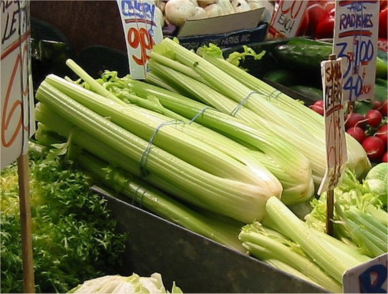 wild celery photo 2