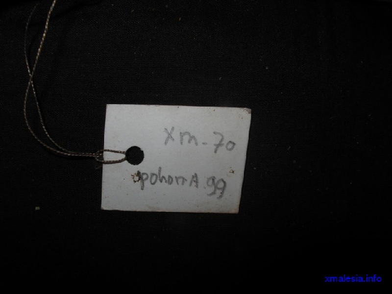 Aporosa subcaudata photo 2