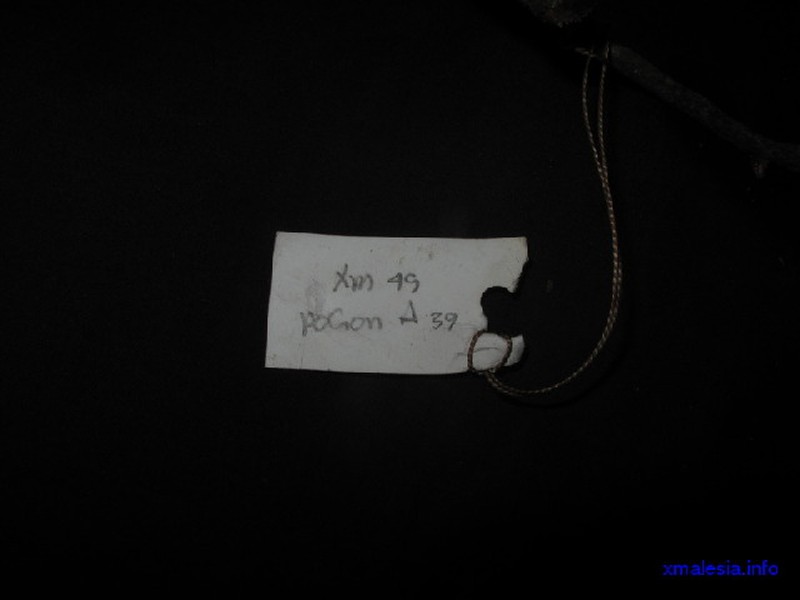 Aporosa subcaudata photo 3