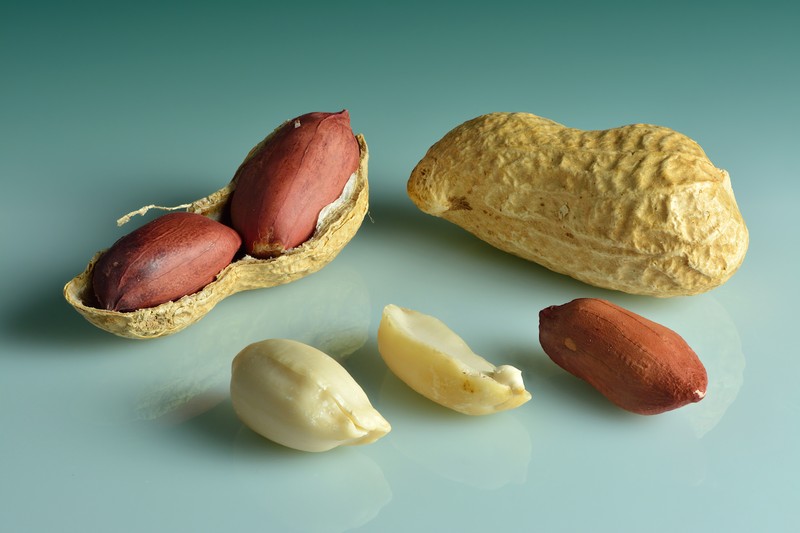 Peanut photo 2