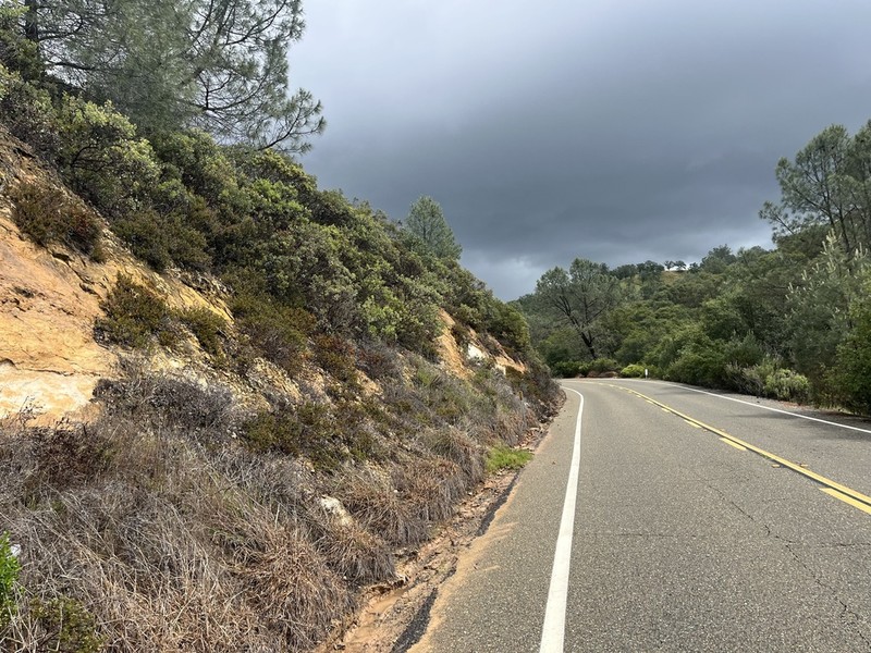 Ione Manzanita photo 7