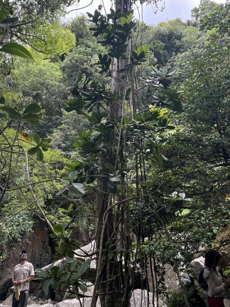 Ausubon photo 8