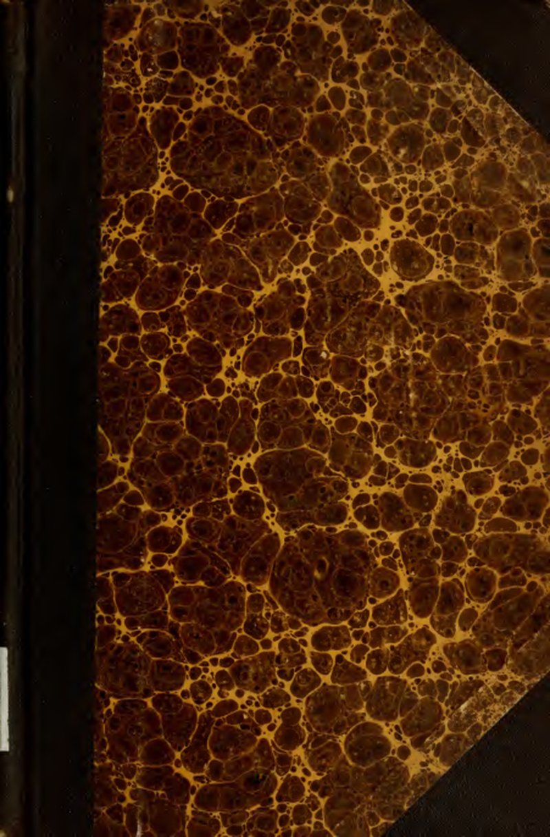 West Indian Dutchman's Pipe