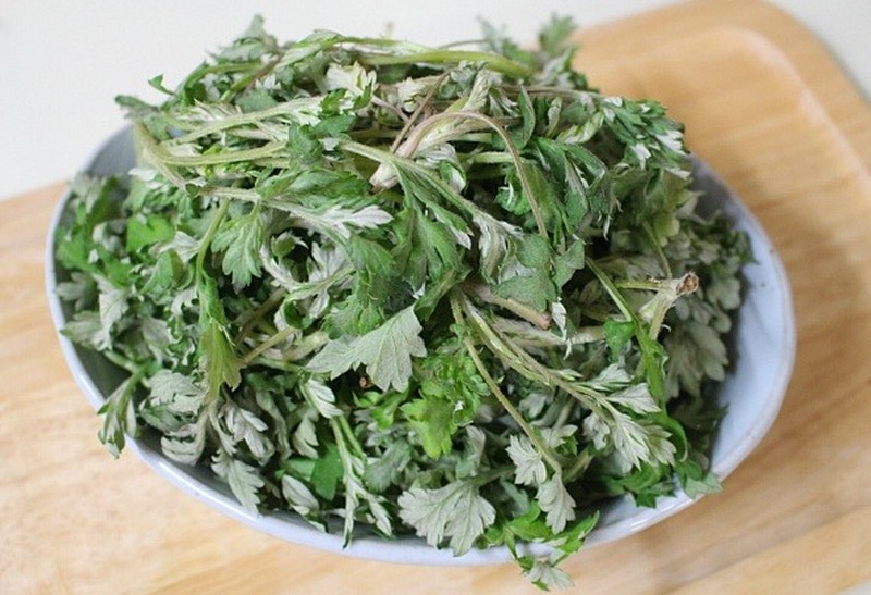 Artemisia princeps photo 2