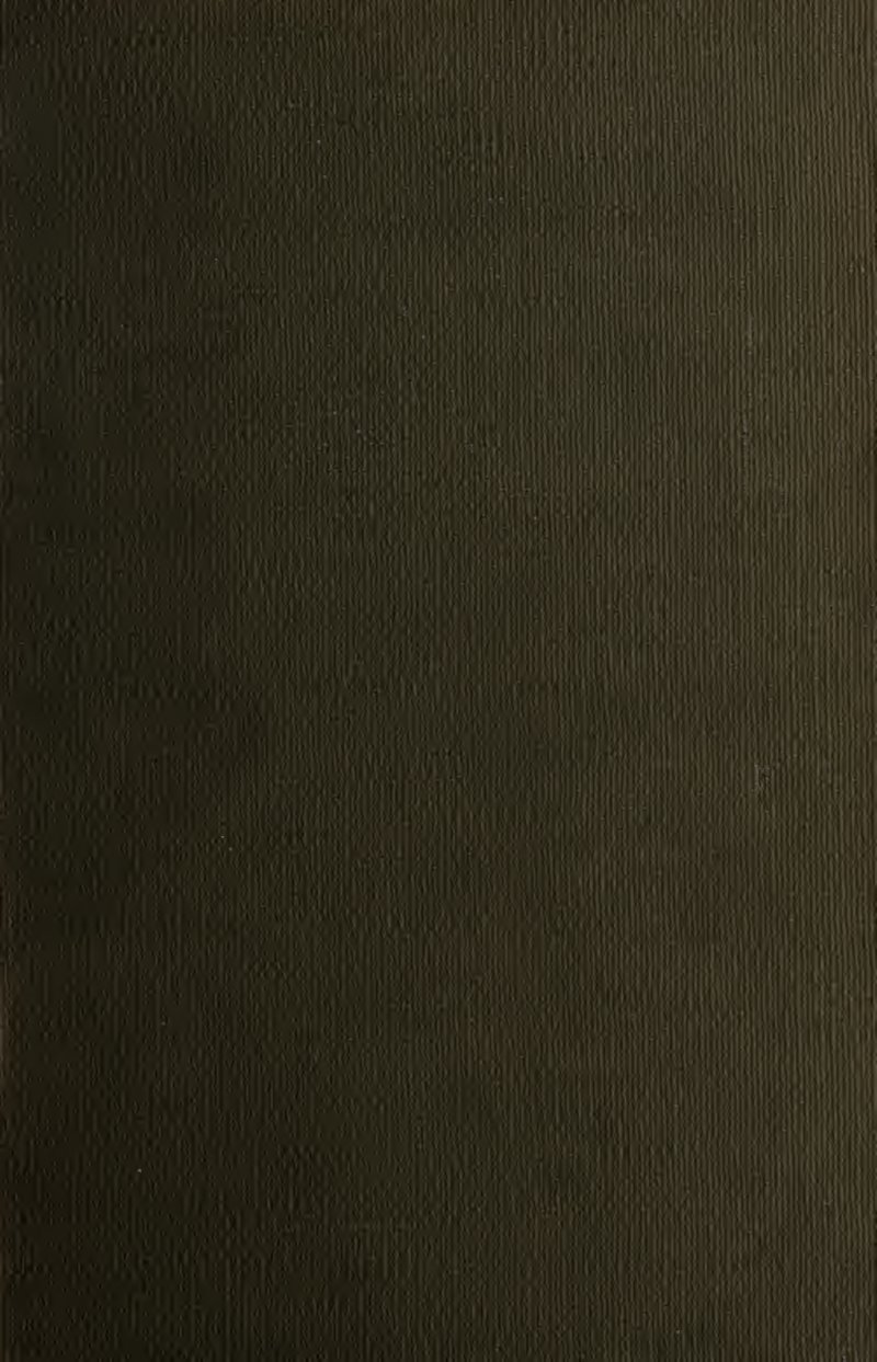 Hall's Arthothelium Lichen