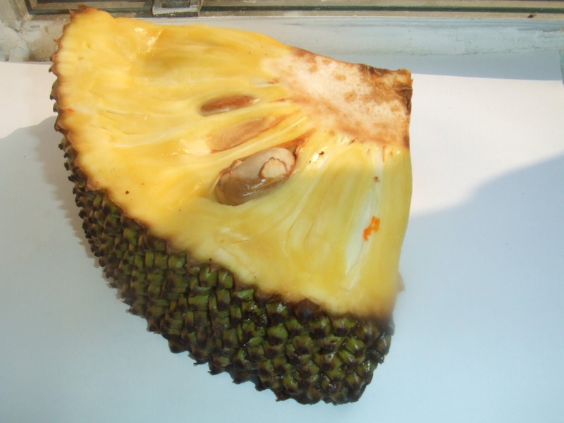 Jackfruit photo 2