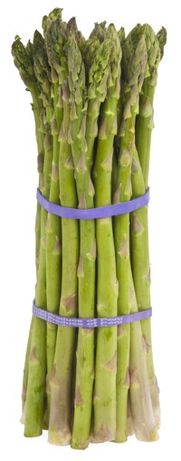 Garden Asparagus