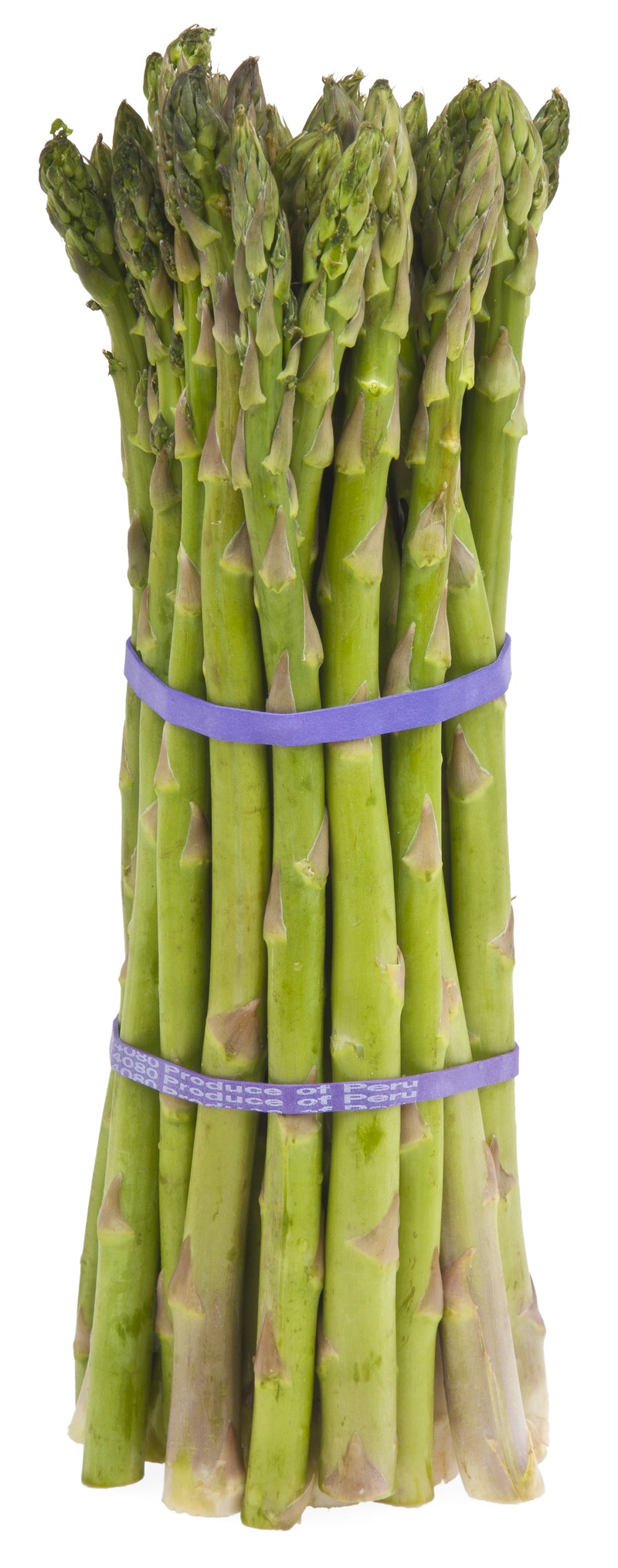 Garden Asparagus