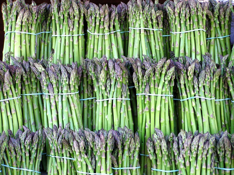 Garden Asparagus photo 4
