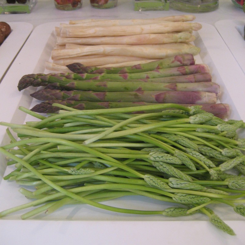 Garden Asparagus photo 7