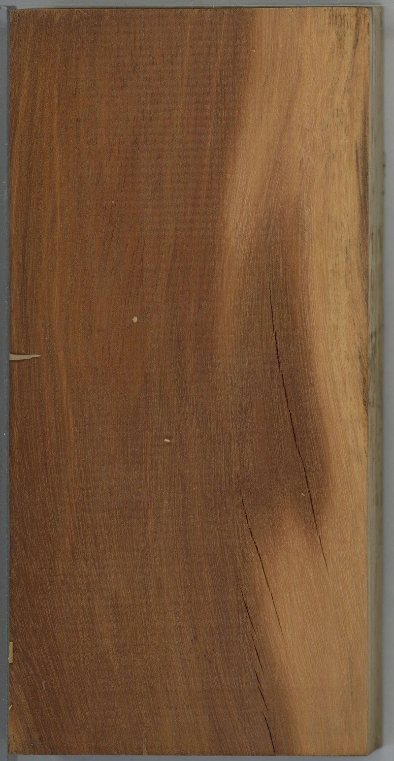 Asteropeia mcphersonii