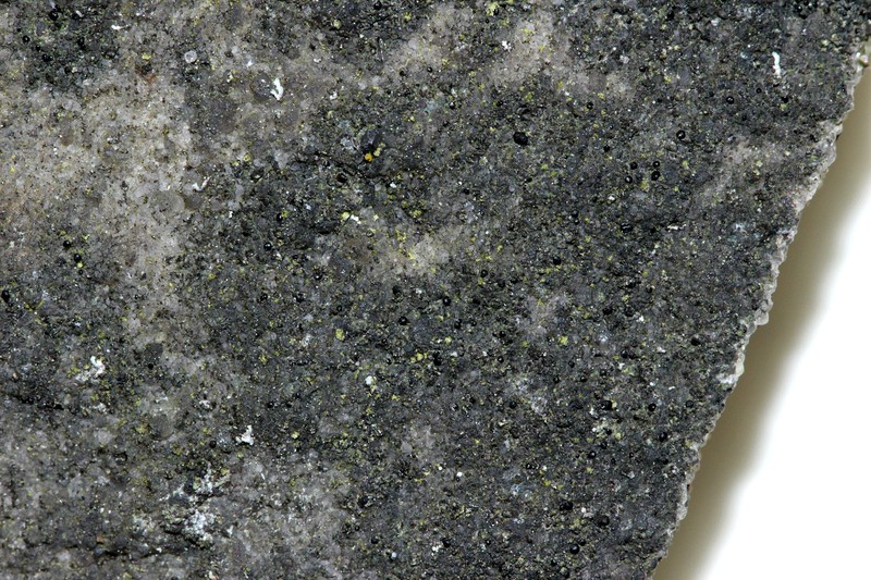Bacidina egenuloidea