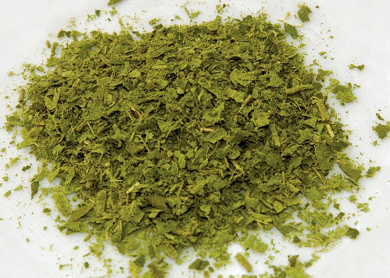 Backhousia citriodora photo 3
