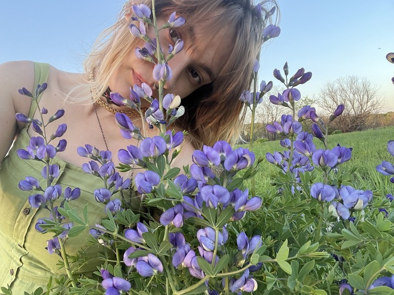 Blue Wild Indigo photo 4