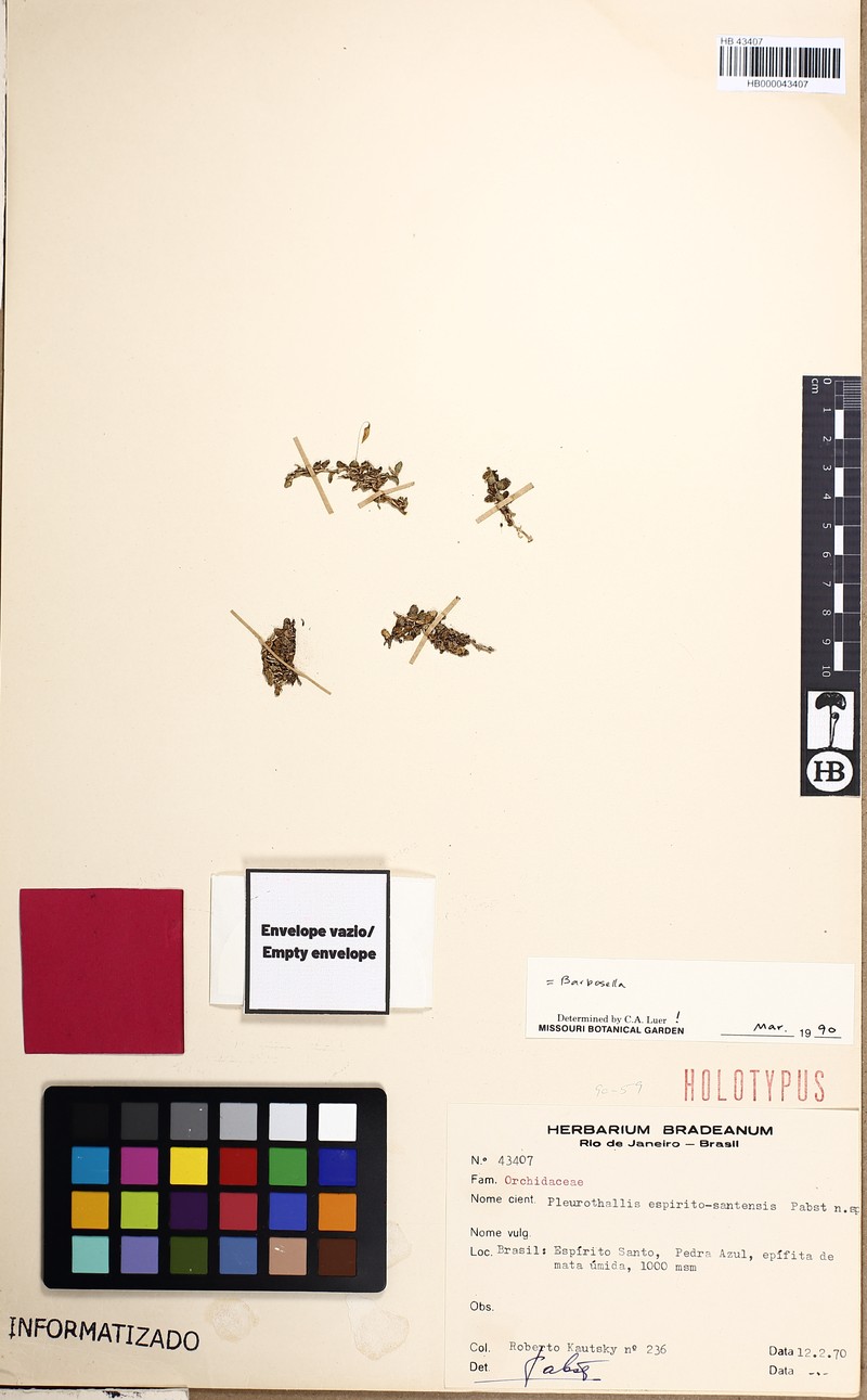 Barbosella spiritu-sanctensis