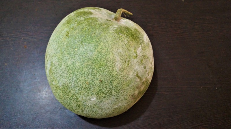 Waxgourd photo 3