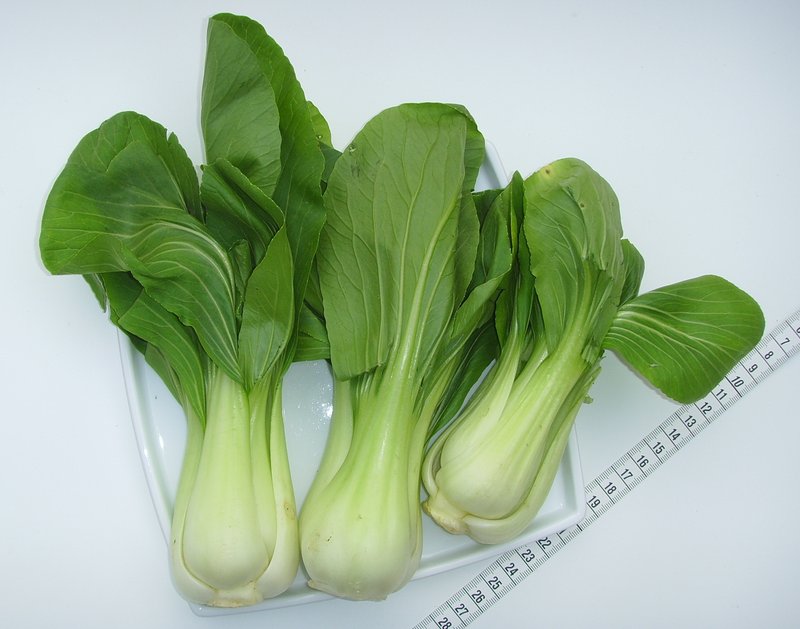 Pak Choi