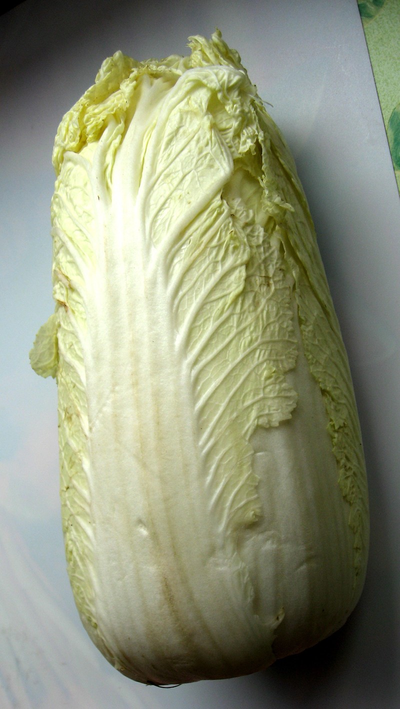 Field Mustard photo 7