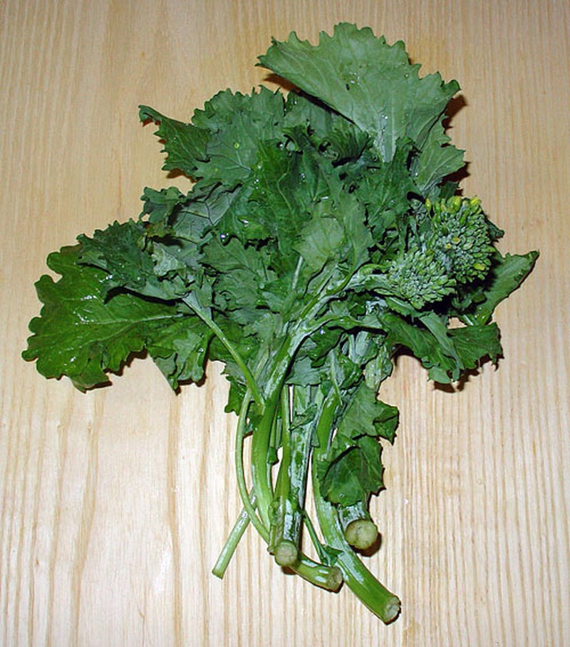 Field Mustard photo 8
