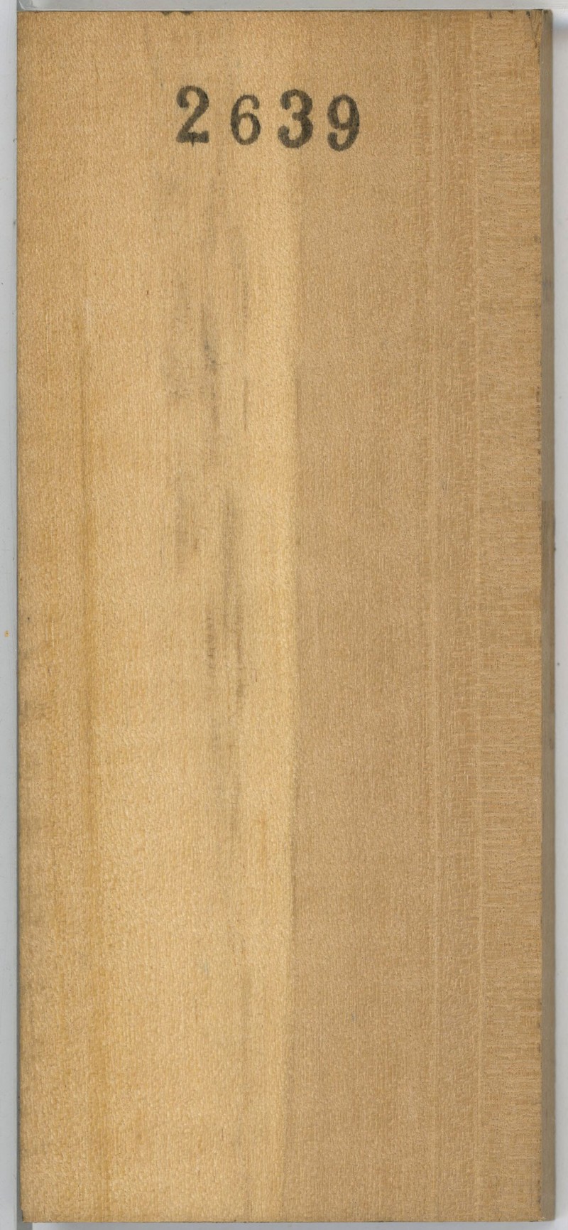 Brenania brieyi