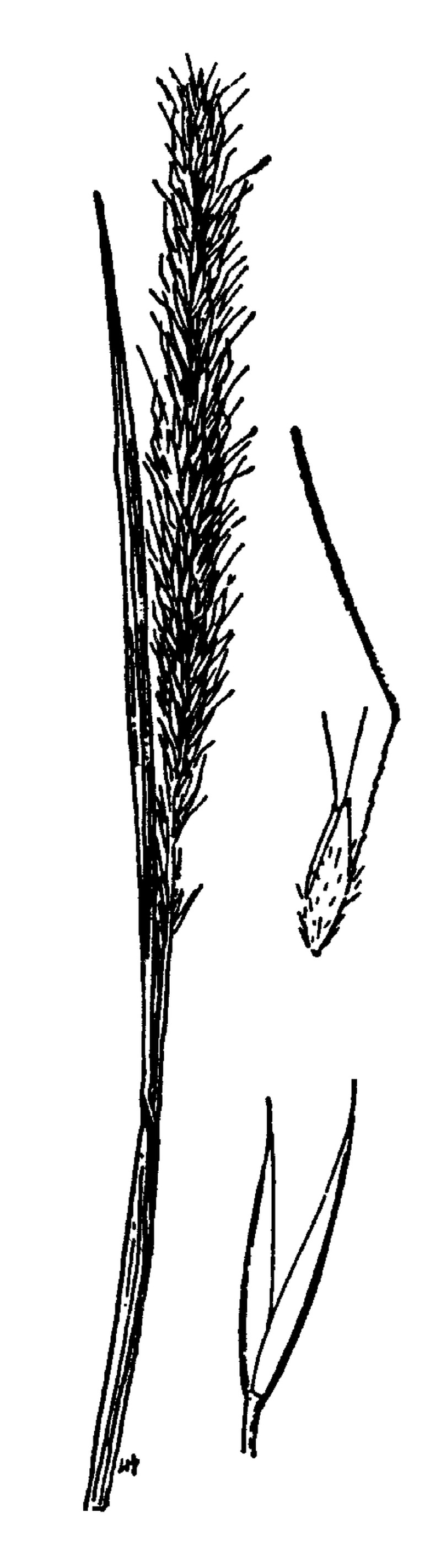 Kennedy's Tropical Bent