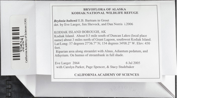Hulten's Bryhnia Moss
