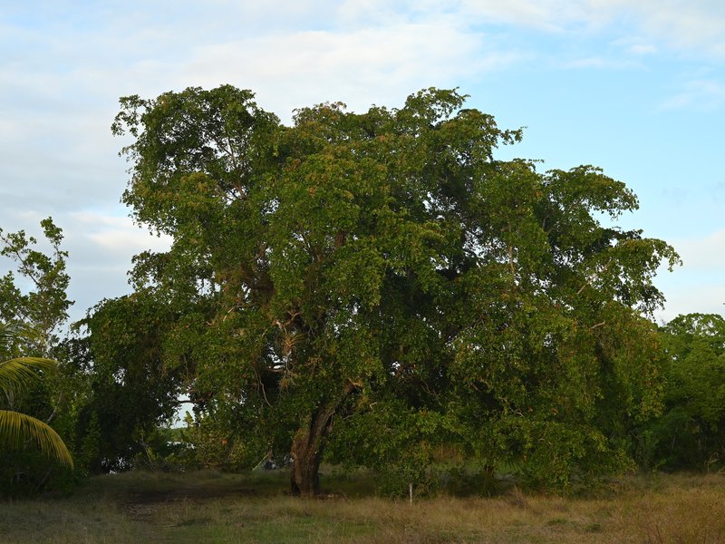 Gregorywood photo 5