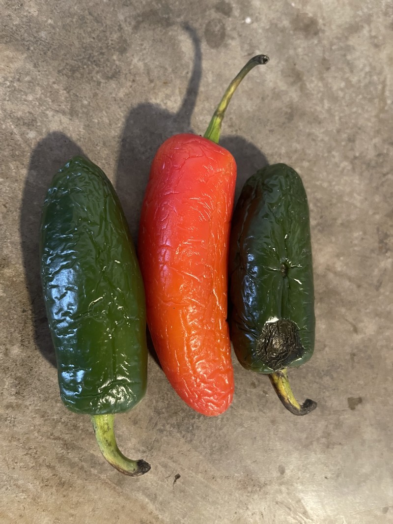 Capsicum annuum var. annuum
