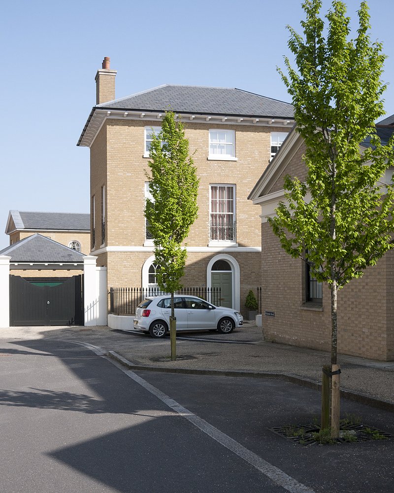 European Hornbeam photo 4