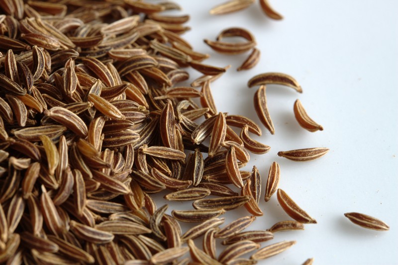Caraway photo 7